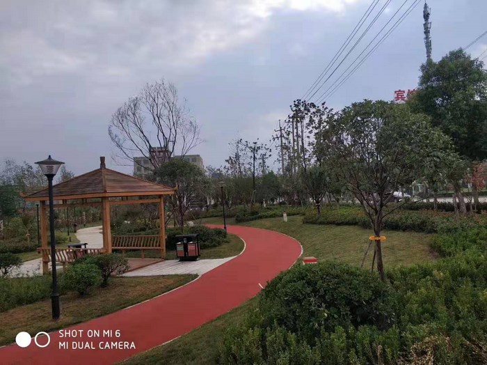 園林景觀(guān)彩色透水地坪施工
